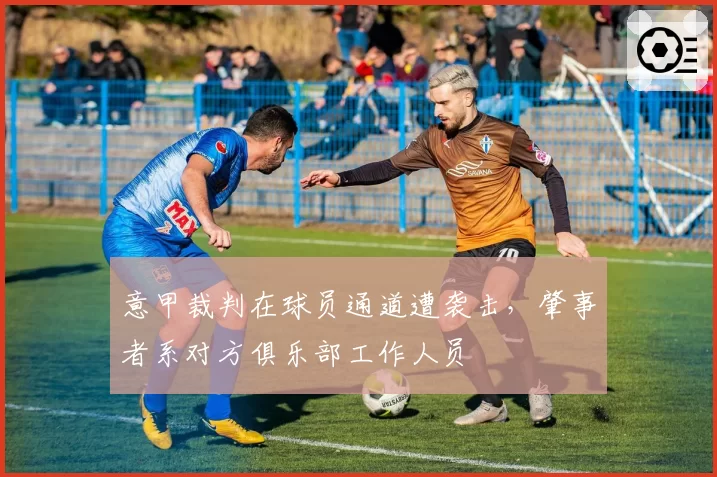 意甲裁判在球员通道遭袭击,肇事者系对方俱乐部工作人员