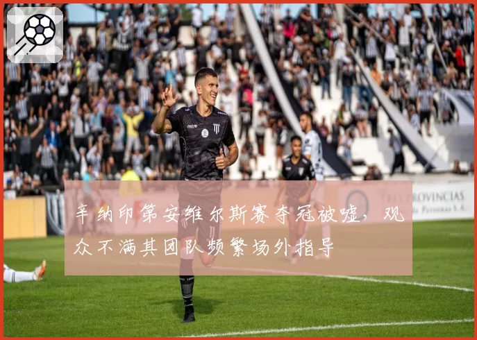 辛纳印第安维尔斯赛夺冠被嘘，观众不满其团队频繁场外指导
