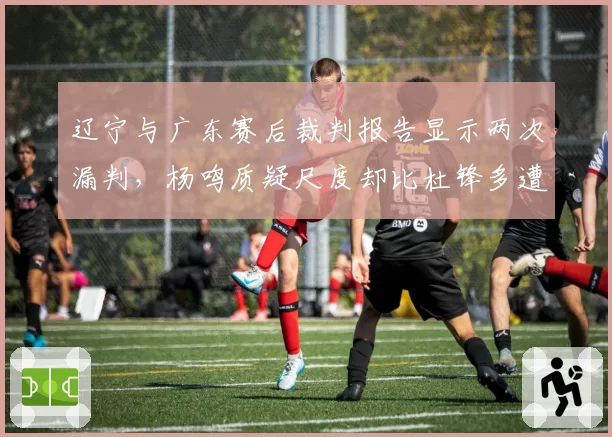 辽宁与广东赛后裁判报告显示两次漏判，杨鸣质疑尺度却比杜锋多遭一次警告