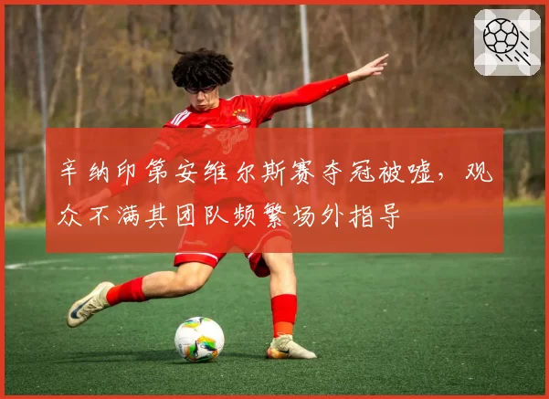 辛纳印第安维尔斯赛夺冠被嘘，观众不满其团队频繁场外指导